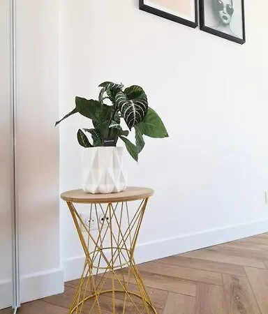 French Riviera Apt - Cosy & Design - 250m Promenade Des Anglais Apartment Nice